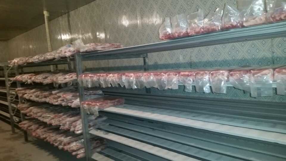 冷庫設(shè)計(jì)